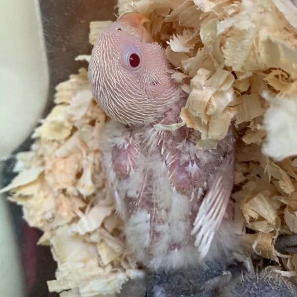 Meet your Posher, Karen - Picture 4 of 12